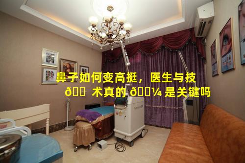 鼻子如何变高挺，医生与技 🐠 术真的 🌼 是关键吗